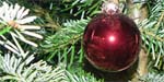 Weihnachten 2009