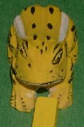 der gelbe Frosch