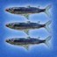 Fische