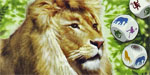 Zooloretto Wrfelspiel