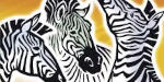Zebra (Amigo)