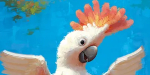 Dancing Birds (Queen Games)