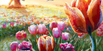 Frosted Blooms (Elznir Games)