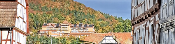 Blick vom Ort auf das Hotel