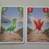 Dancing Birds