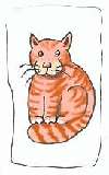 Katze