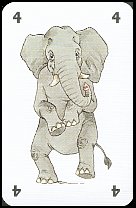 Elefant - 4