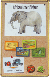 Afrikanischer Elefant