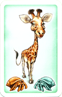 Eine Giraffe