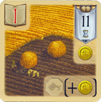 Feld
