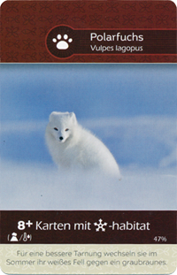 Polarfuchs