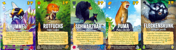 die f�nf Starttiere